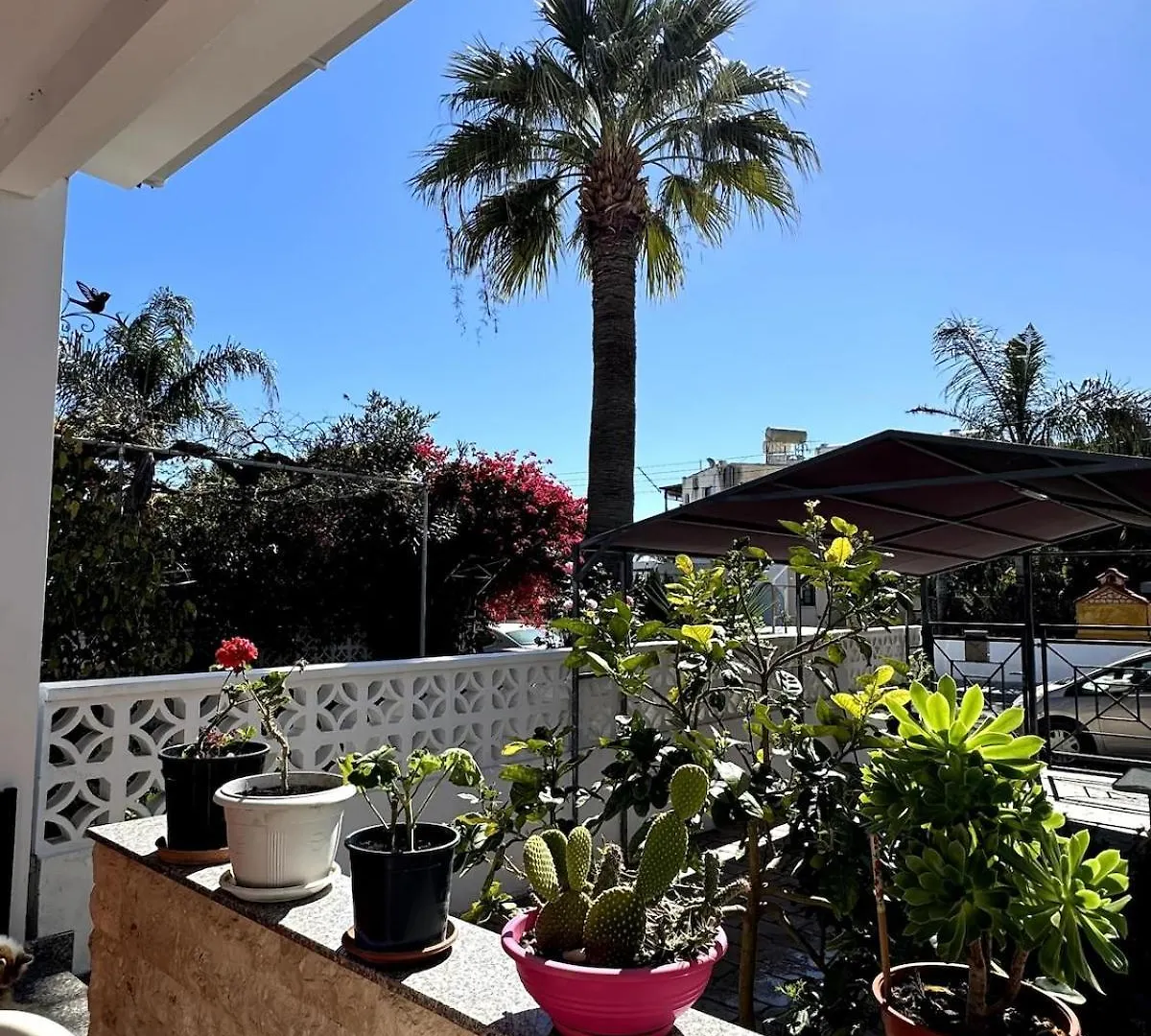 Seaside Serenity Villa Larnaca 0*,  Cypern
